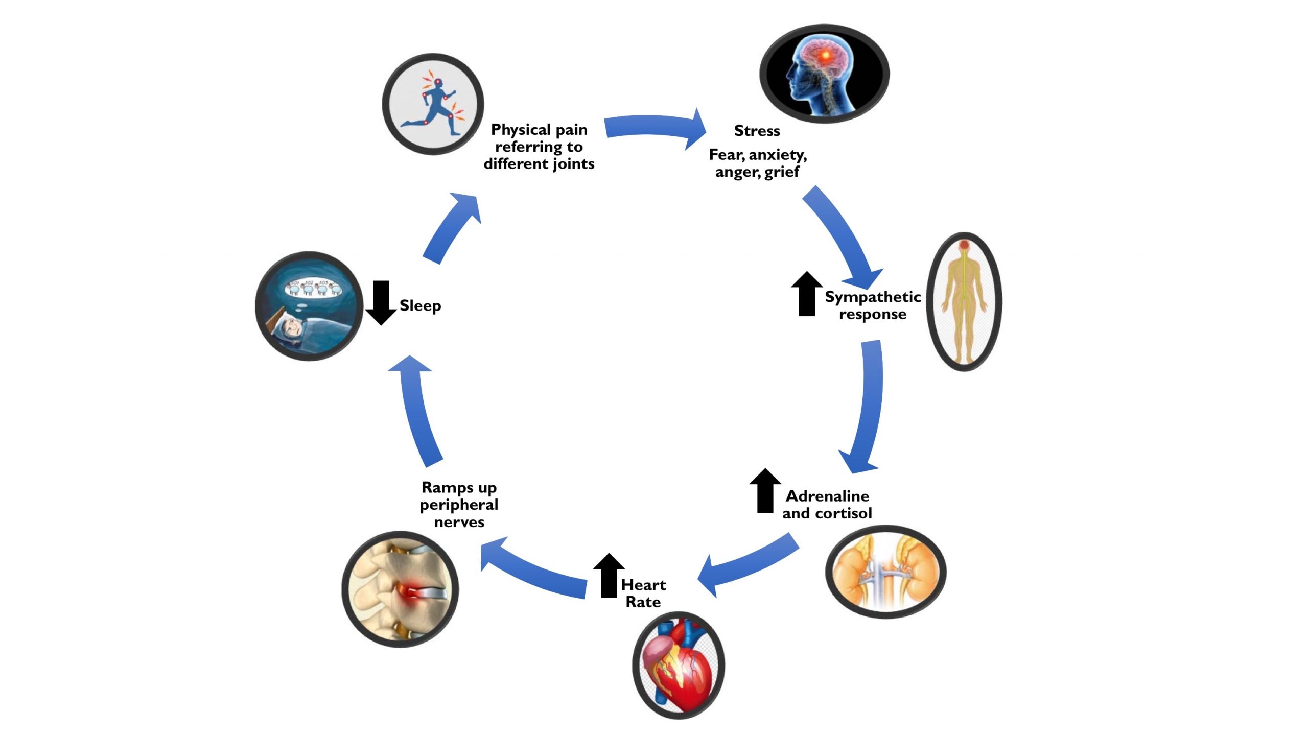 covid-stress-cycle-the-real-culprit-of-physical-pain